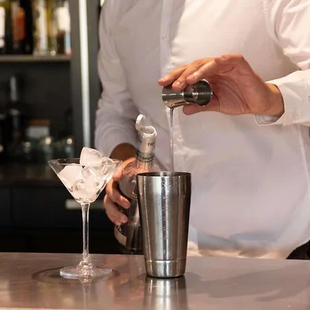 Ibis