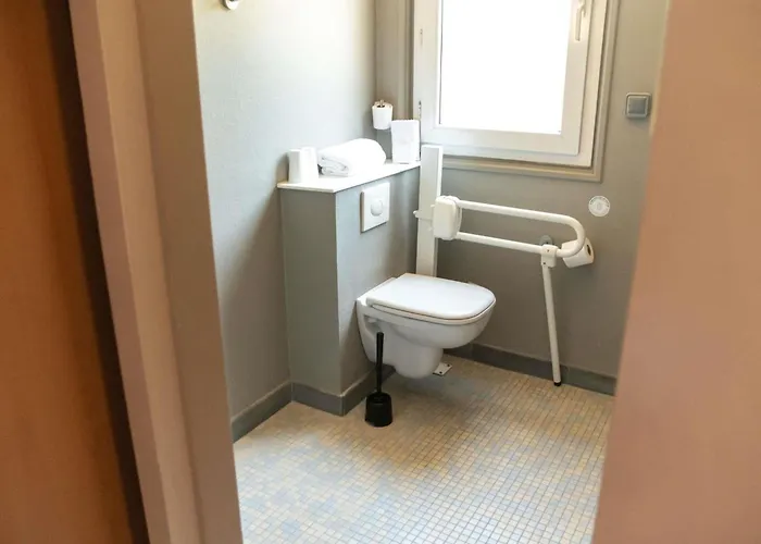 Ibis 3*